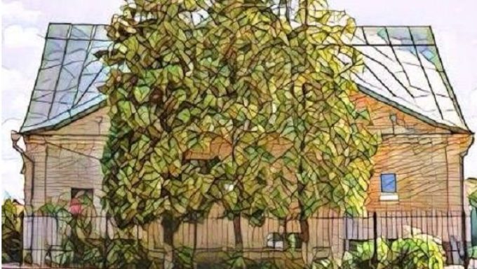 Дарницкая Церковь ЕХБ  – Киев, Украина