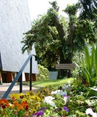 Париж Евангельская Церковь Христиан Баптистов ЕХБ “BETHANIE” – Massy, France