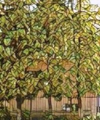 Дарницкая Церковь ЕХБ  – Киев, Украина